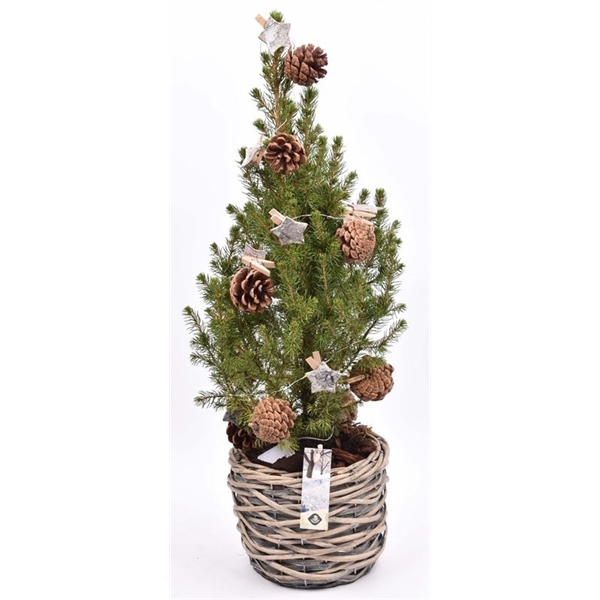 Wilg mand grijs 18cm