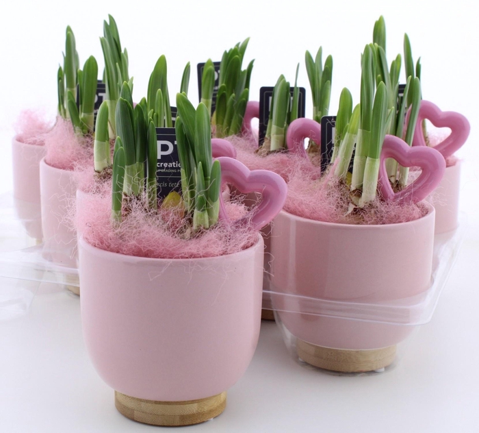 <h4>ARR N TETE A TETE</h4>