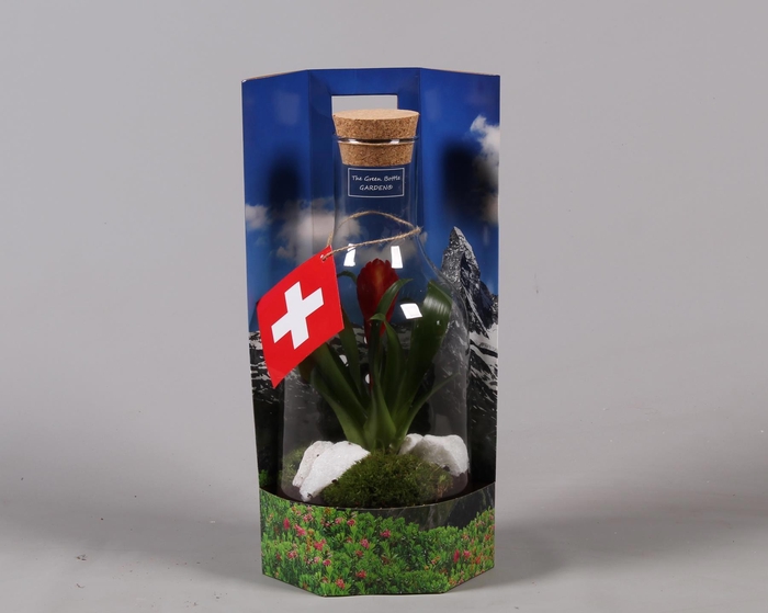 <h4>Green Bottle met Bromelia</h4>