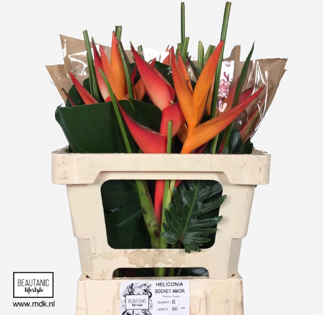 <h4>HELICONIA BOEKET</h4>