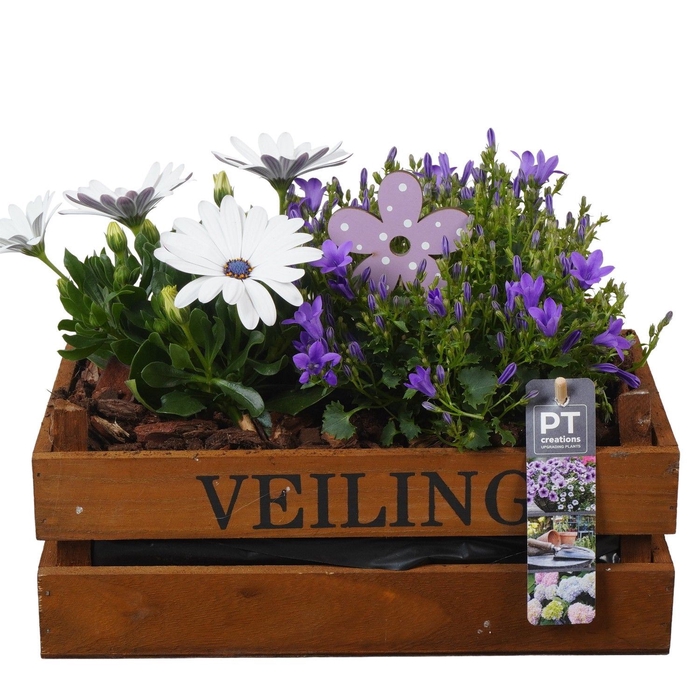 <h4>Arr.   Perkplanten L%</h4>