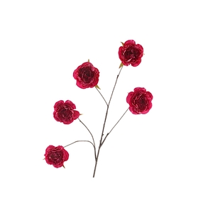 Cabbage Rosa Spray Fuchsia