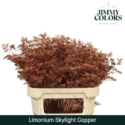 Limonium Skylight L80 Mtlc. Koper