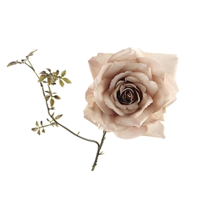 Rosa Spray Beige