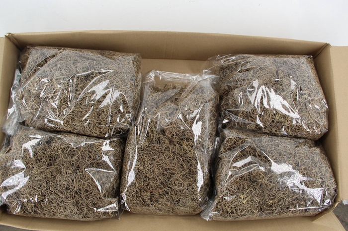 <h4>Moss Tillandsia Natural 500gr</h4>