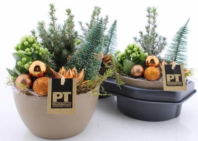 <h4>ARR KAMERPL</h4>