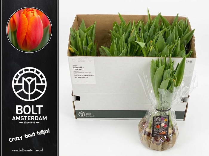 <h4>TU EN TIME OUT</h4>