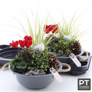 ARR TUINPLANTEN