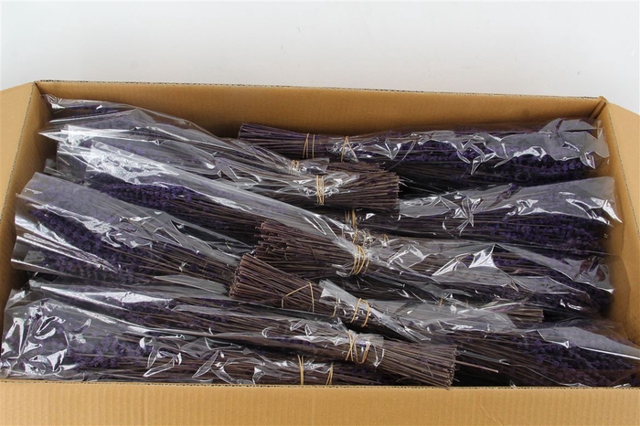 <h4>Lavendel Preserved</h4>
