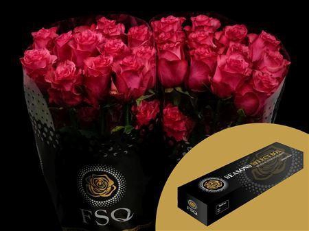 <h4>R Gr Lola Box</h4>