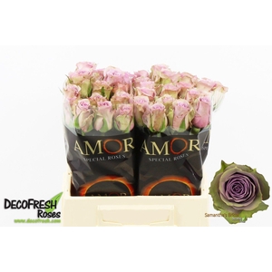 R Gr Samantha Bridal