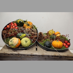 Arr Sierfruit In Zinken Schaal
