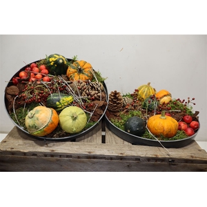 Arr Sierfruit In Zinken Schaal