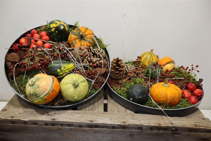 <h4>arr8 Arr Sierfruit In Zinken Schaal</h4>