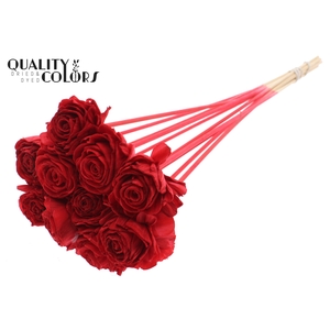 Shola Beauty Rose 6cm on stem Red