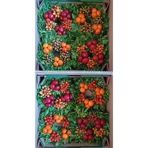 Wr Sierfruit 20cm ( Anttar )