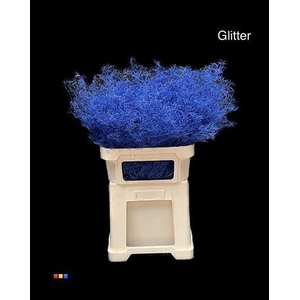 Limonium Blue + Glitter Bio