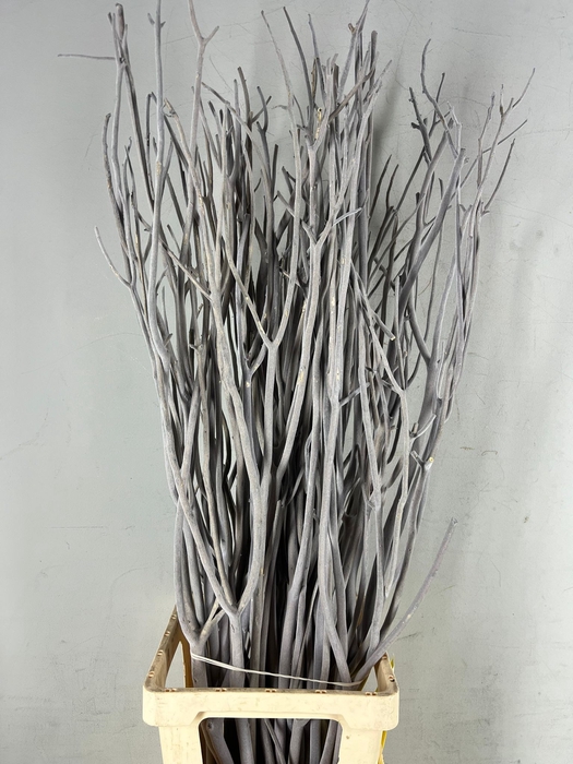 <h4>Mitsumata Flock Silver Bs(3)</h4>