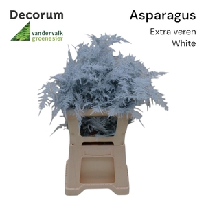 Asp extra veren White
