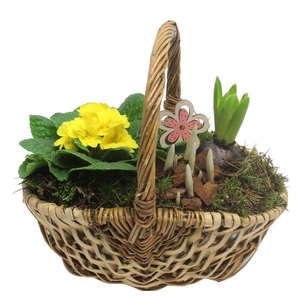 2903 HENGSELMAND TUINTJE