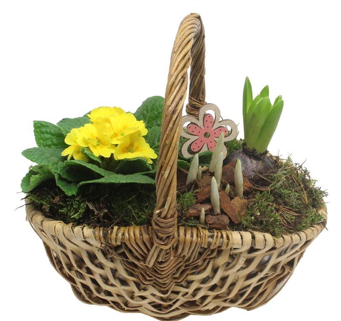 <h4>2903 HENGSELMAND TUINTJE</h4>