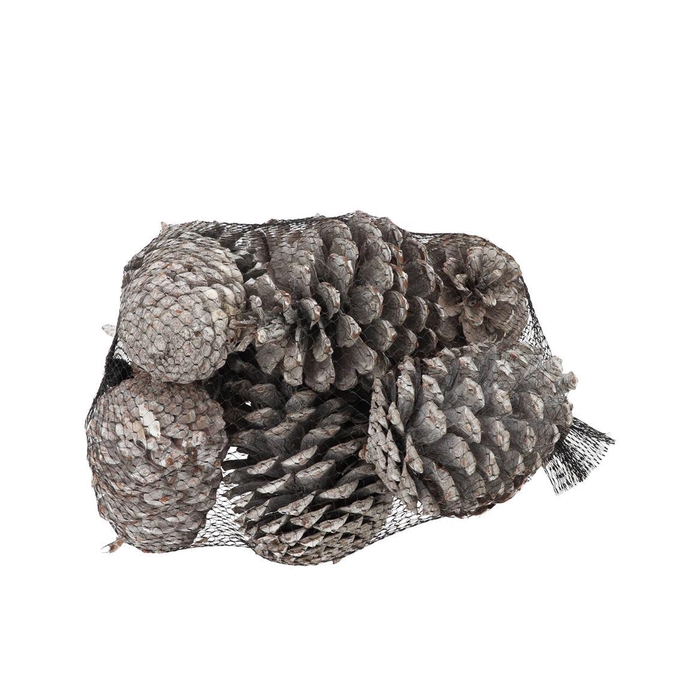 <h4>Nature Maritima`s Stone Washed White P/12</h4>