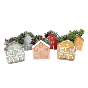 Arr.   Kamerplant Groen L%