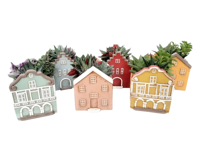 <h4>Arr.   Kamerplant Groen L%</h4>