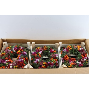Wr Sierfruit De Luxe Bon Bon 30cm