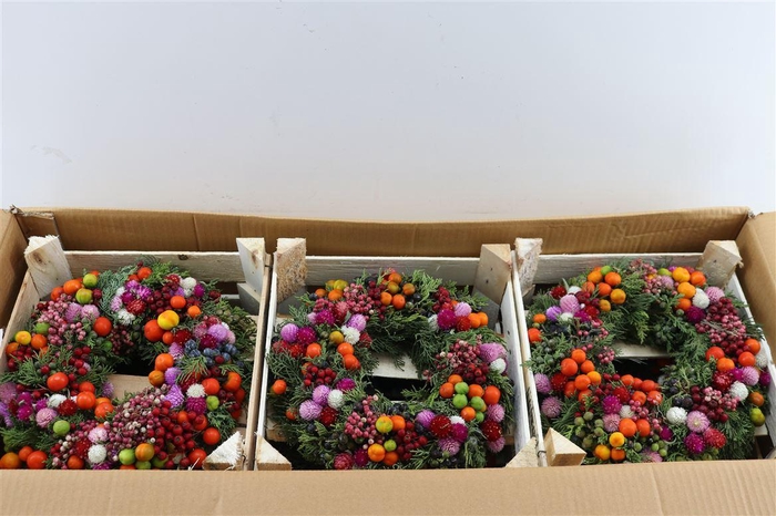 <h4>Wr Sierfruit De Luxe Bon Bon 30cm</h4>