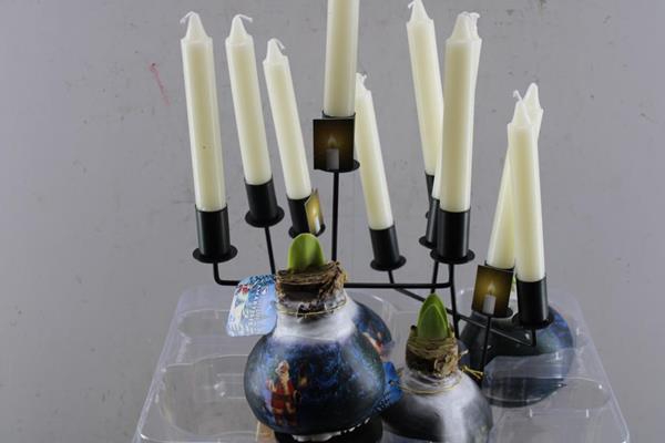 <h4>Bloembol Hippea Wax Santa-man</h4>