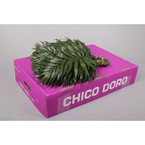 Chico Doro (air)