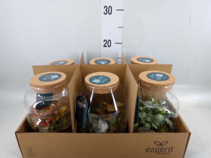 <h4>Arr. Planten L%</h4>