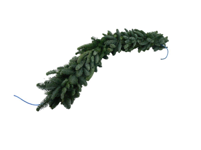 <h4>Guirlande Nobilis 1mtr.</h4>
