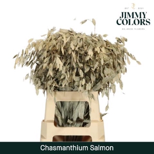 Chasmanthium L70 Salmon