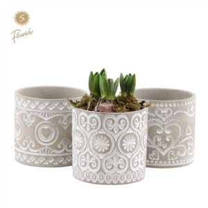 Hyacinth Mix 3416 Verona 3pp