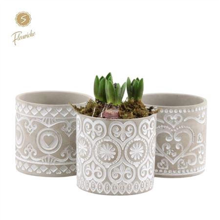 <h4>Hyacinth Mix 3416 Verona 3pp</h4>