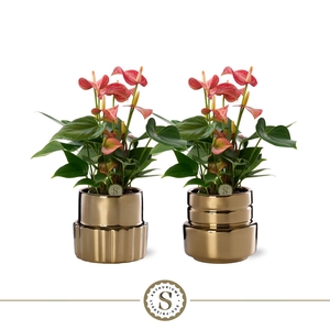 Oslo Gold Keramiek 9cm Livium