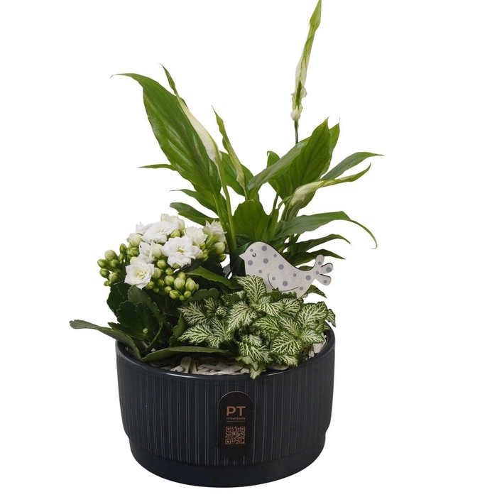 <h4>Arr.    Planten  L%</h4>