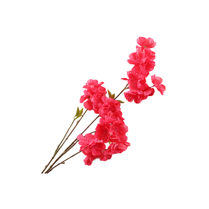 Prunus Cherry Blossom Cerise