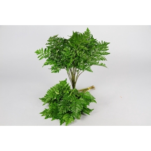 Leatherleaf Large Green Ocean