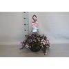 Hangpotten 27 waterreservoir mix 02 Roze mix