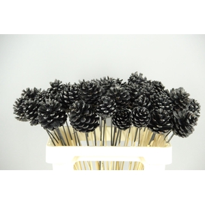 Stick Pine Cone Black