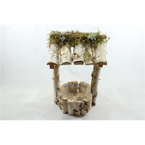 Waterput+ Dakje Leeg