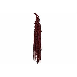 DROOGBL BEWERKT H%