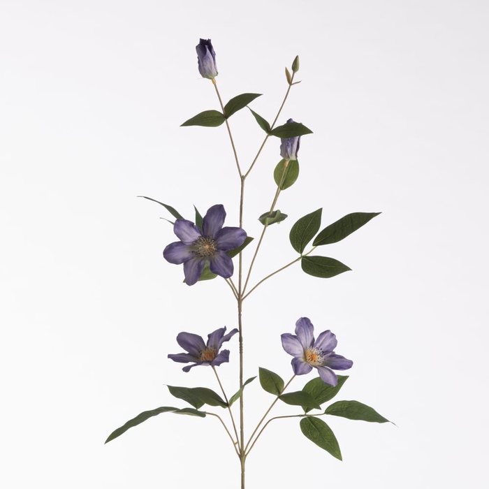 <h4>Af Clematis L82cm Purple</h4>