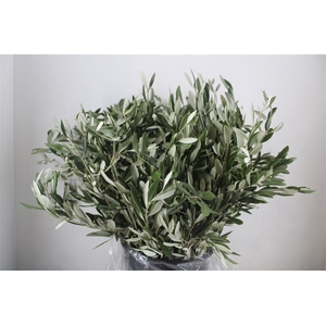 Olijf 400gr P Bunch
