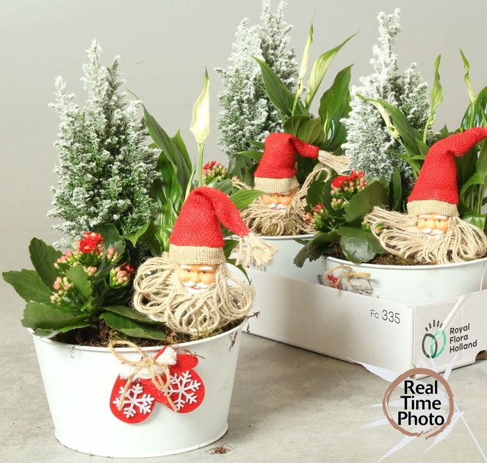 <h4>ARR KAMERPL</h4>