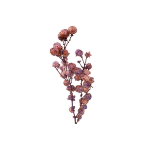 Dried Artz Bougainvillea Da Vinci Bunch