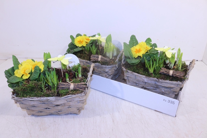 <h4>ARR TUINPLANTEN</h4>